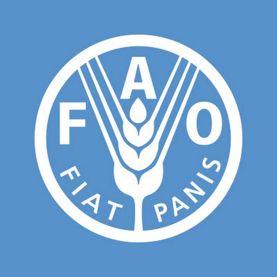 UN FAO